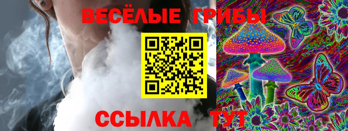 Псилоцибиновые грибы Cubensis Тихорецк