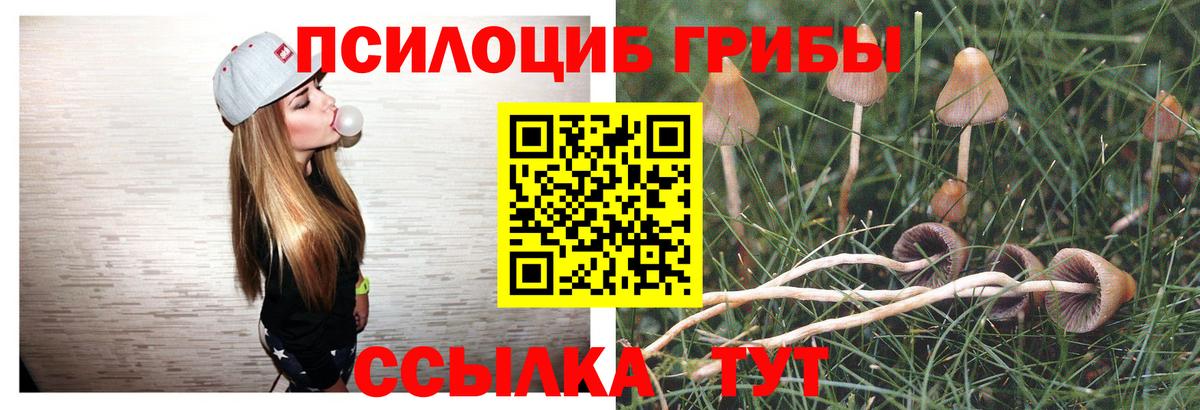 Тихорецк  Галлюциногенные грибы мицелий  Вход с VPN  Галлюциногенные грибы мухоморы 